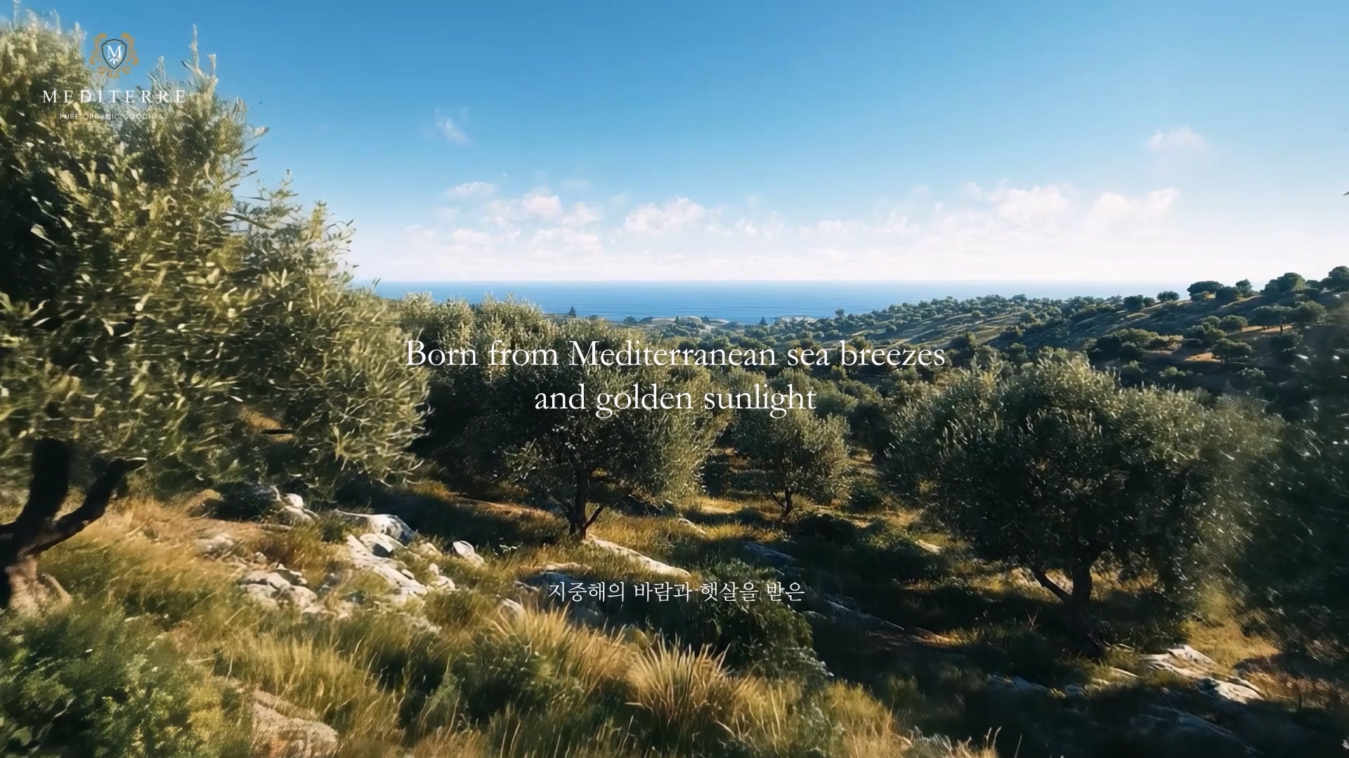 메디테레 유기농 올리브오일 브랜드스토리 광고영상